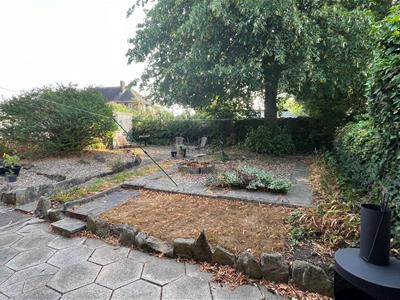 Picture 20